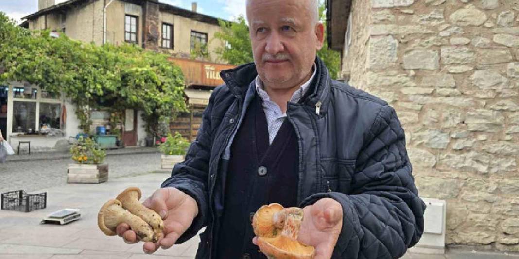 Tezgaha indi, kapış kapış gitti! Kilosu 500 TL: Bu yıl bolluk fışkırıyor 4